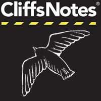 CliffsNotes on One Flew Over the Cuckoo's Nest