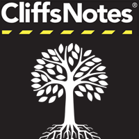 CliffsNotes on A Separate Peace