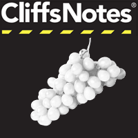 CliffsNotes on Grape of Wrath