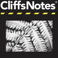 CliffsNotes on Heart of Darkness